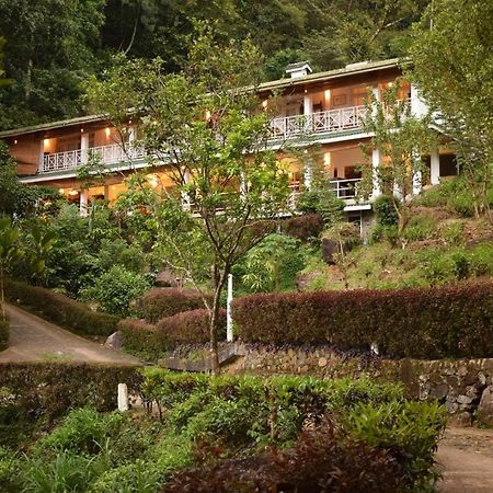 Ginigathena Forest Edge Hotel المظهر الخارجي الصورة