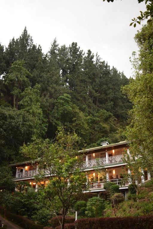 Ginigathena Forest Edge Hotel المظهر الخارجي الصورة