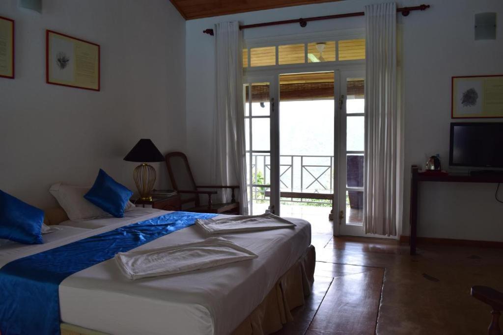 Ginigathena Forest Edge Hotel المظهر الخارجي الصورة
