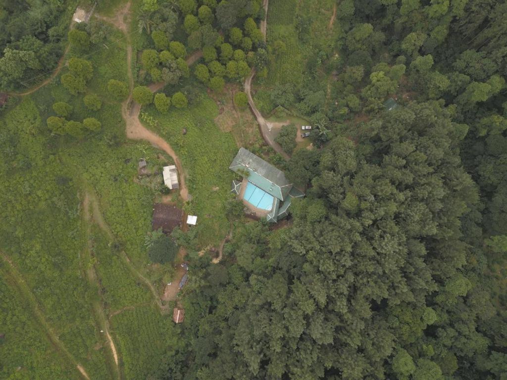 Ginigathena Forest Edge Hotel المظهر الخارجي الصورة