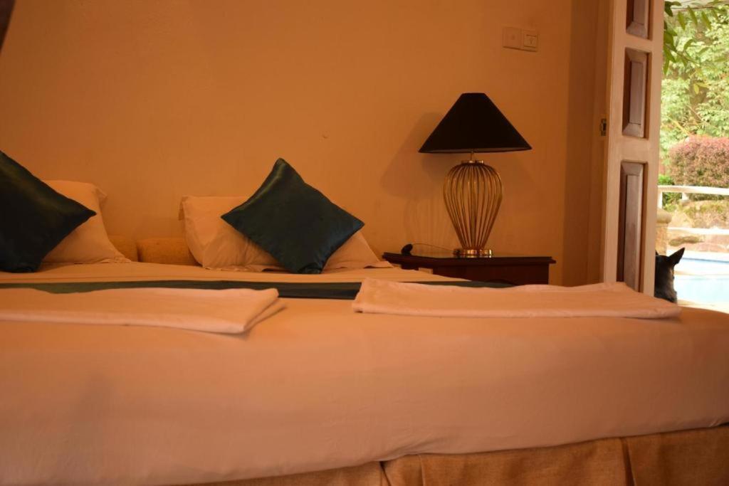 Ginigathena Forest Edge Hotel المظهر الخارجي الصورة