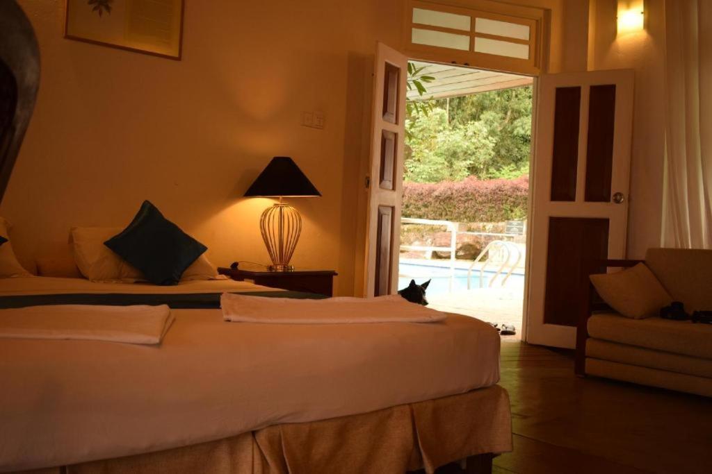 Ginigathena Forest Edge Hotel المظهر الخارجي الصورة