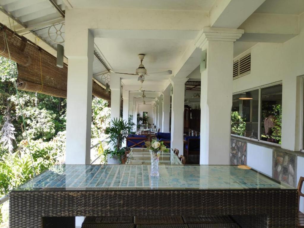 Ginigathena Forest Edge Hotel المظهر الخارجي الصورة
