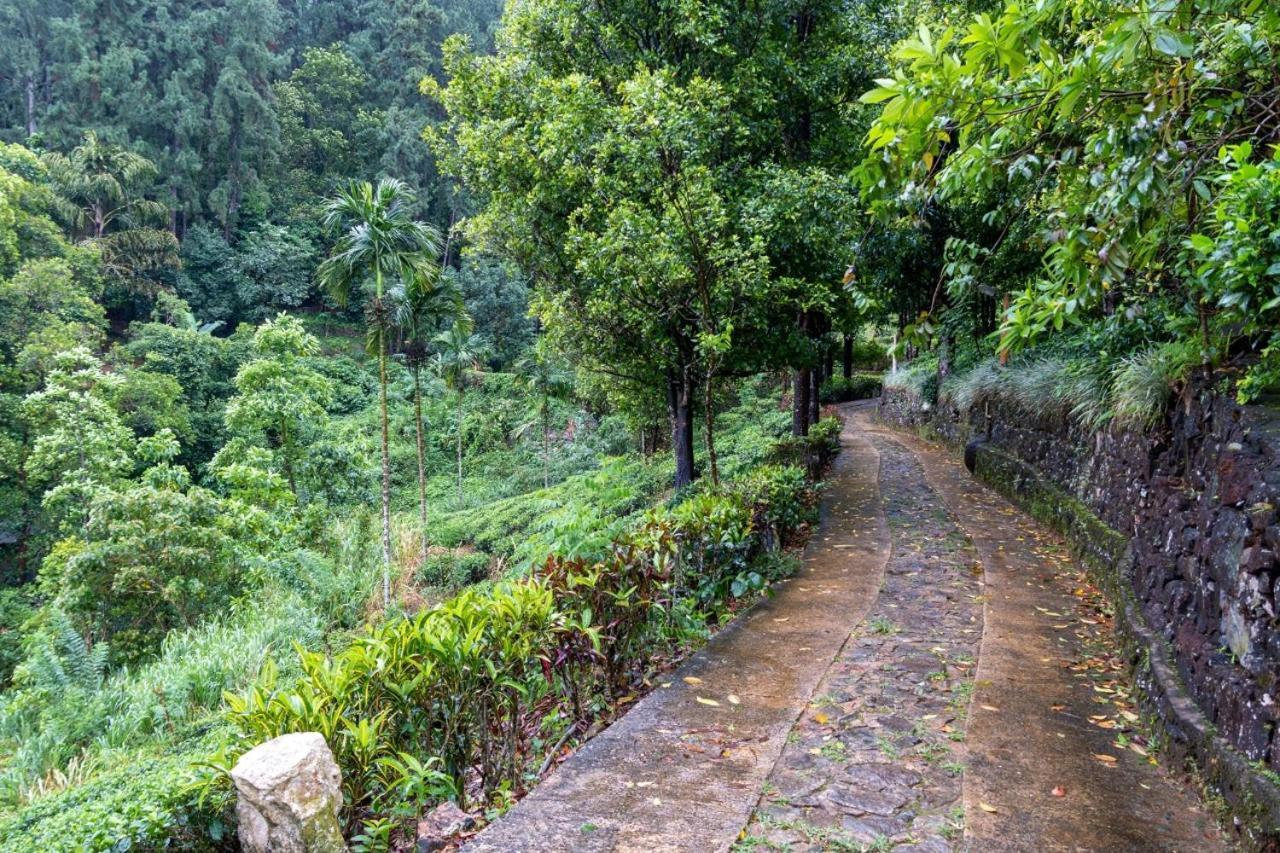 Ginigathena Forest Edge Hotel المظهر الخارجي الصورة