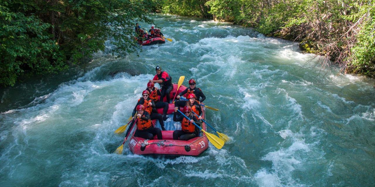 Ginigathena Forest Edge Hotel المظهر الخارجي الصورة